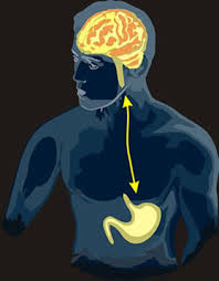 Brain Gut Connection